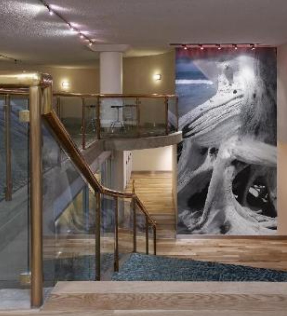 Radisson Blu Toronto Downtown Image 17